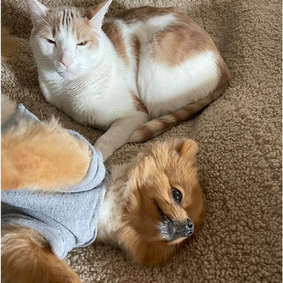 Selling Us SUNDAY 🫵🏼🫵🏼 - Picture 6 of 12